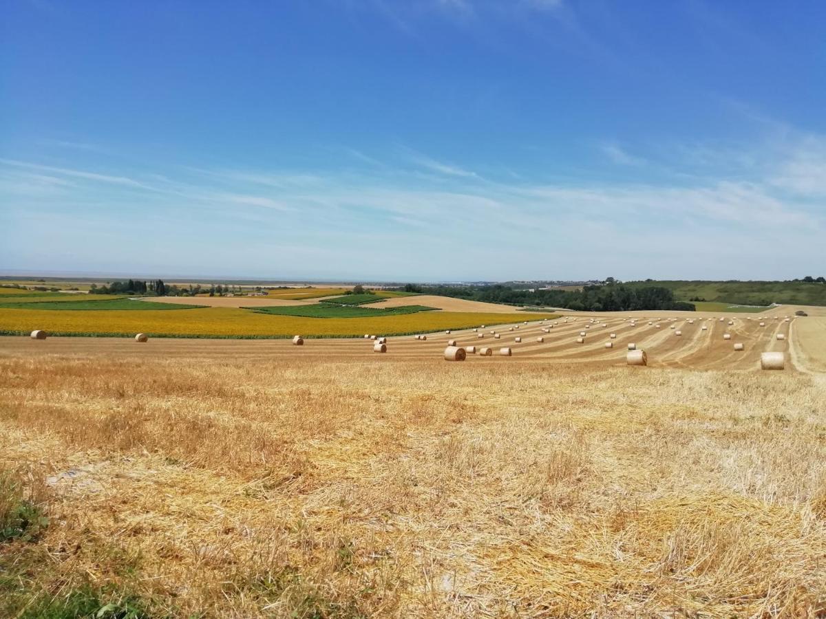 Chateau Des Salles Saint-Fort-sur-Gironde المظهر الخارجي الصورة