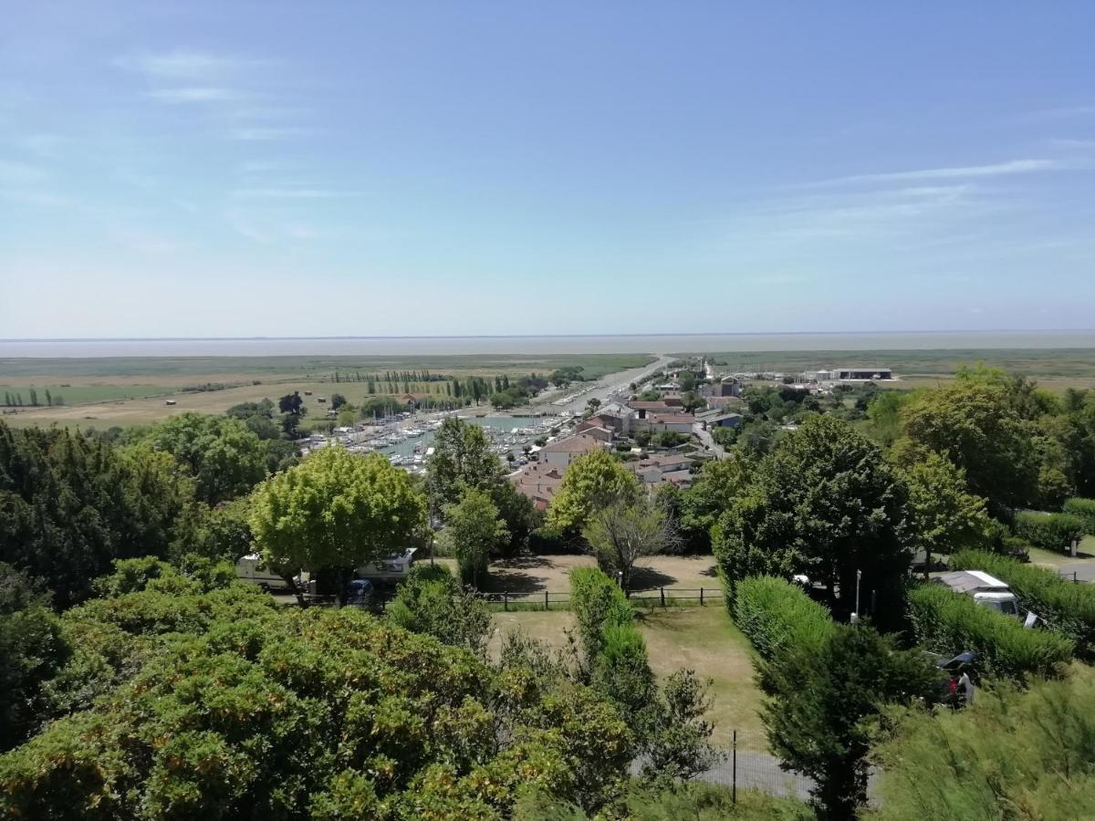Chateau Des Salles Saint-Fort-sur-Gironde المظهر الخارجي الصورة